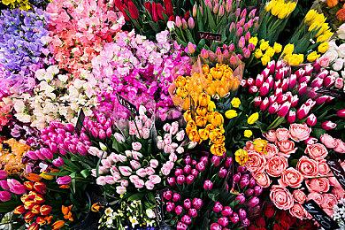 超好评独立游戏《吸血鬼幸存者》终于迎来最终BOSS